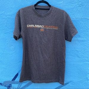 Carlsbad Caverns National Park t-shirt, heather grey, size Small